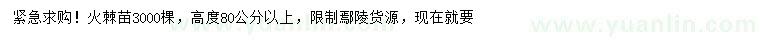 求購高80公分以上火棘
