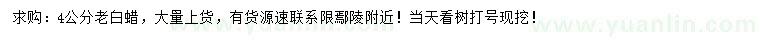 求購4公分老白蠟