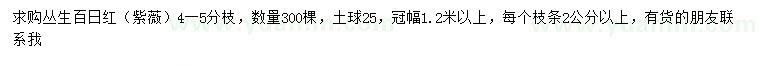 求購冠幅1.2米以上叢生百日紅