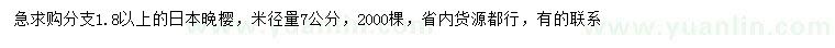 求購米徑7公分日本晚櫻