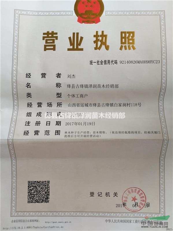 山西玉露香樹苗價(jià)格=玉露香梨樹苗價(jià)格=玉露香梨樹苗專賣