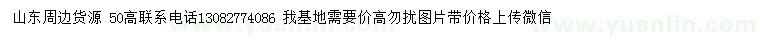 求購高50公分占地藍莓苗