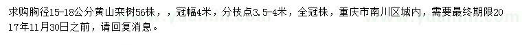 求購胸徑15-18公分黃山欒樹