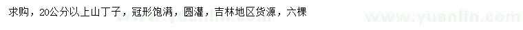 求購(gòu)20公分以上山丁子