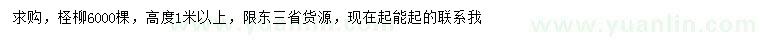 求購高1米以上檉柳