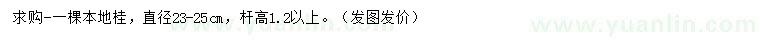 求購直徑23-25公分本地桂