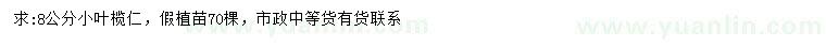求購(gòu)8公分小葉欖仁