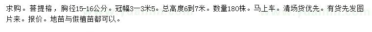 求購胸徑15-16公分菩提榕