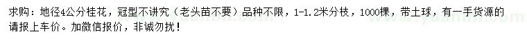 求購地徑4公分桂花