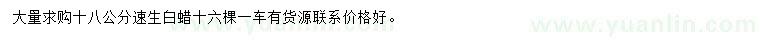 求購18公分速生白蠟