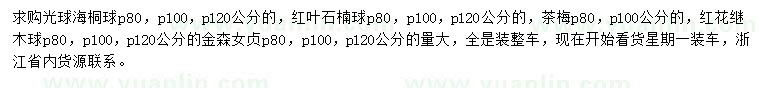 求購(gòu)海桐球、紅葉石楠球、茶梅等