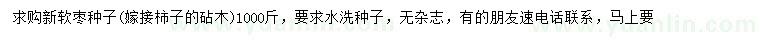 求購軟棗種子