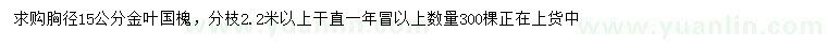 求購胸徑15公分金葉國槐