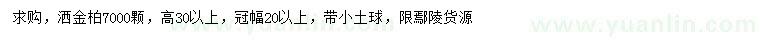 求購高30公分以上灑金柏