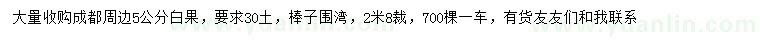 求購(gòu)5公分白果