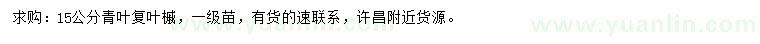 求購15公分青葉復(fù)葉槭
