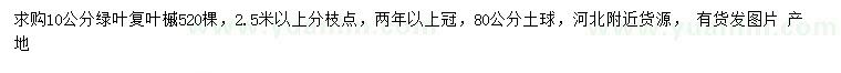 求購(gòu)10公分綠葉復(fù)葉槭