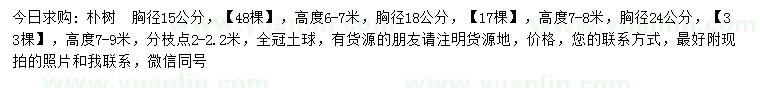 求購胸徑15、18、24公分樸樹