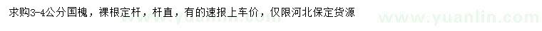 求購3-4公分國槐