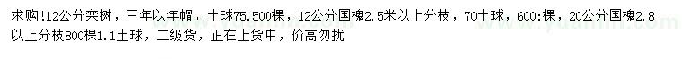 求購12公分欒樹、12、20公分國槐