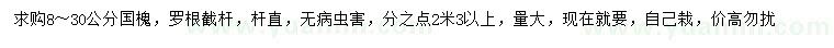 求購8-30公分國槐
