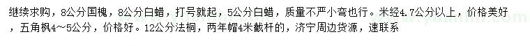 求購國槐、白蠟、五角楓等