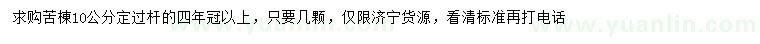 求購10公分苦棟