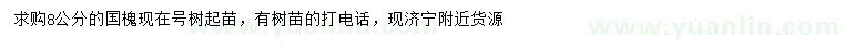 求購(gòu)8公分國(guó)槐