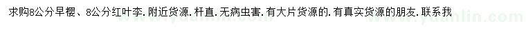 求購(gòu)8公分早櫻、紅葉李