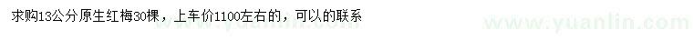 求購13公分紅梅