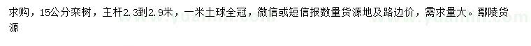 求購15公分欒樹