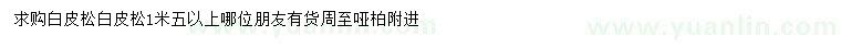 求購(gòu)1.5米以上白皮松