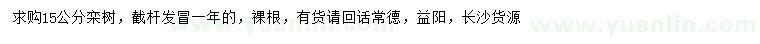 求購(gòu)15公分欒樹(shù)