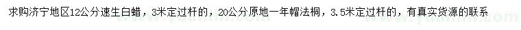 求購12、20公分速生白蠟