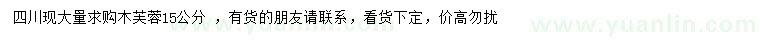 求購(gòu)15公分木芙蓉
