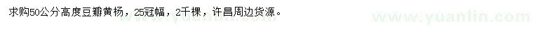求購高50公分豆瓣黃楊
