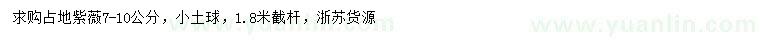 求購7-10公分紫薇
