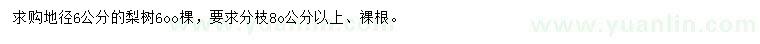 求購地徑6公分梨樹