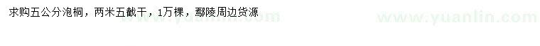 求購5公分泡桐