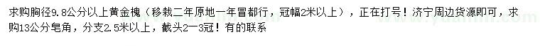求購胸徑9.8公分以上黃金槐、13公分皂角