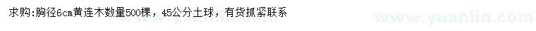 求購胸徑6公分黃連木