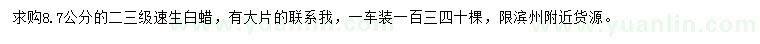 求購8.7公分速生白蠟