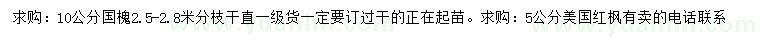 求購10公分國槐、5公分美國紅楓