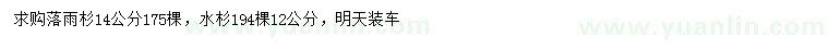 求購(gòu)14公分落雨杉、12公分水杉