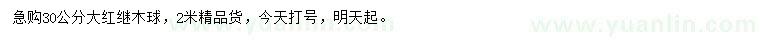 求購30公分大紅繼木球
