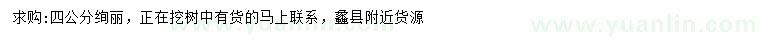 求購4公分絢麗海棠