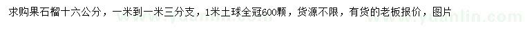 求購16公分果石榴