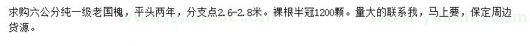 求購6公分老國槐