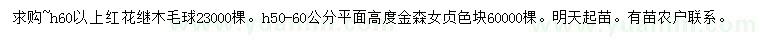 求購高60公分以上紅花繼木毛球、50-60公分金森女貞色塊