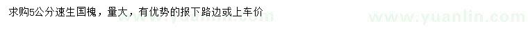 求購5公分速生國槐
